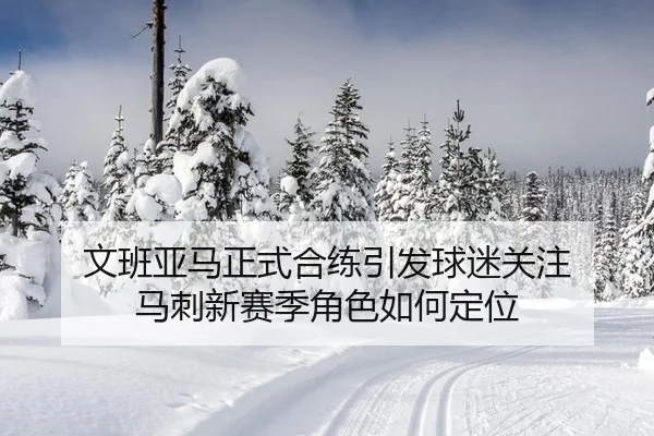 文班亚马正式合练引发球迷关注 马刺新赛季角色如何定位（hth）